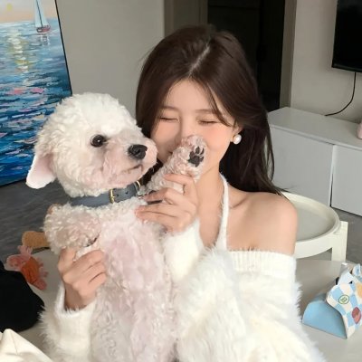 梦里的一千道墙
